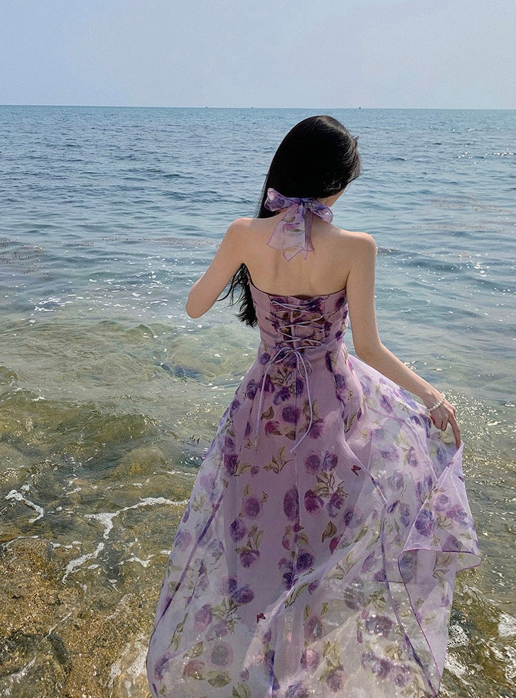 A Women's Backless Holiday Printed Halter Dress free delivery