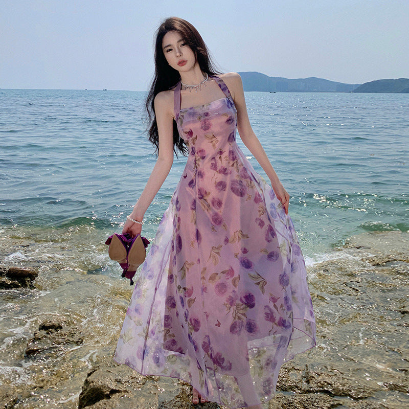 A Women's Backless Holiday Printed Halter Dress free delivery