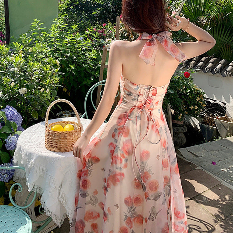 A Women's Backless Holiday Printed Halter Dress free delivery