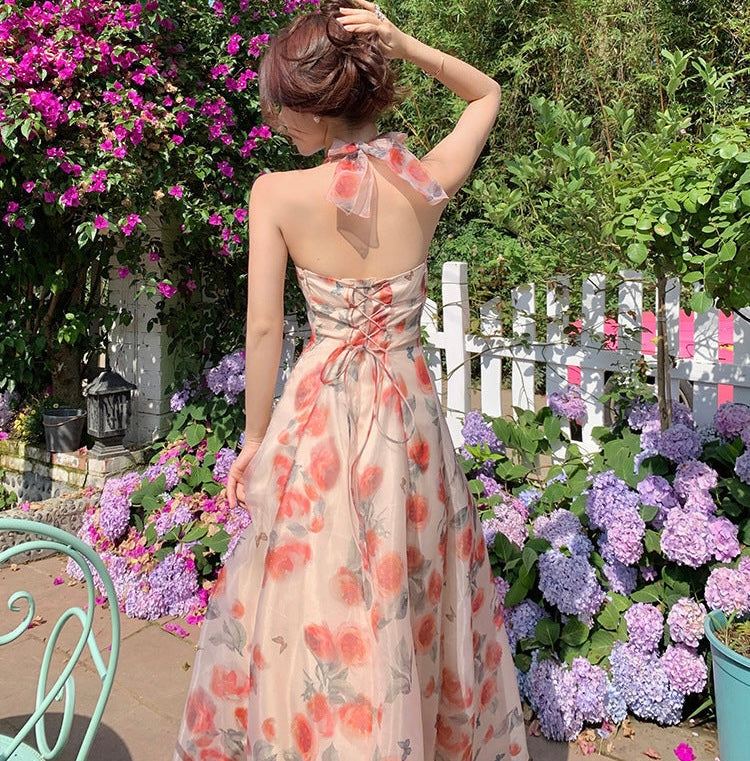 A Women's Backless Holiday Printed Halter Dress free delivery